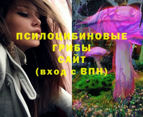 ешки Магадан