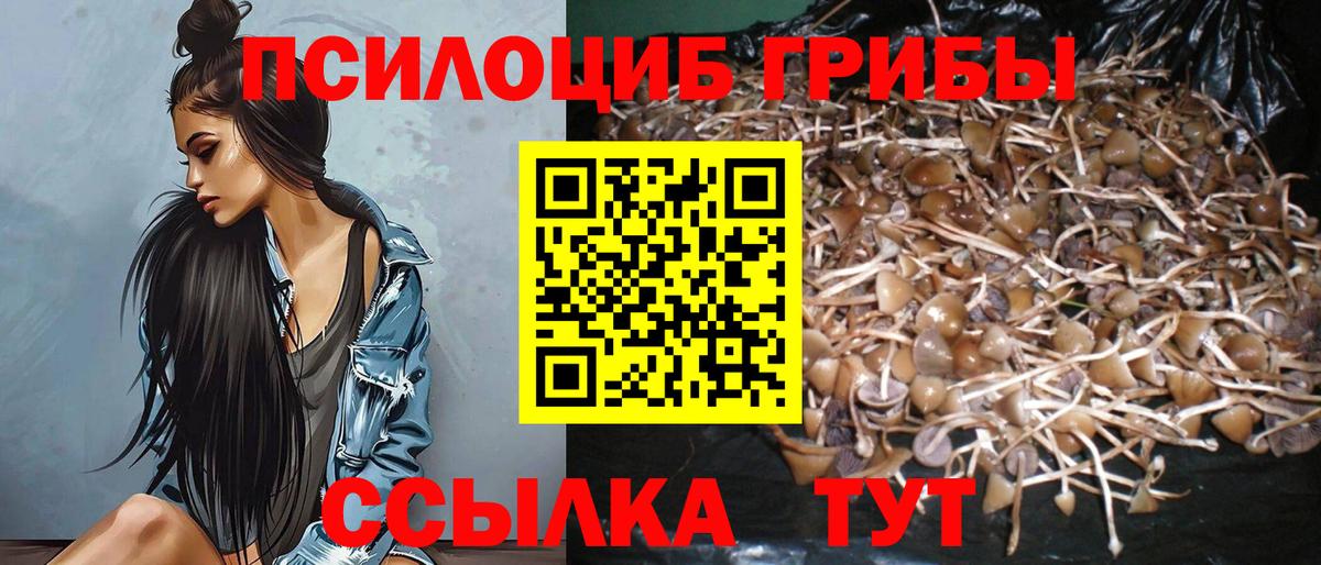Галлюциногенные грибы Cubensis Серов